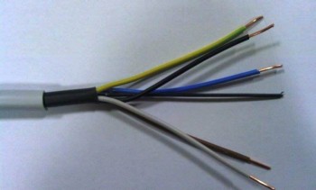 1920503_10201324410655609_1289626534_n