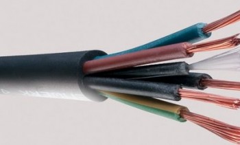 KsytPc_piony-5x20-mm2